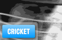 cricket logo